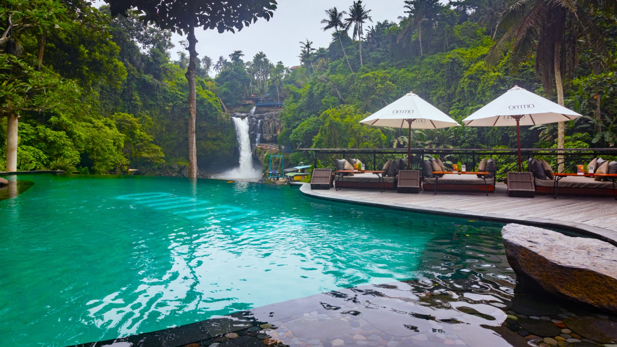 OMMA Day Club Pass: Swing, Swim & Lunch